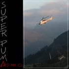 ..:: Super Puma - HB-XVY ::..