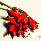 SUPER RED HOT PEPPERS