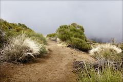 super schöne Wanderwege