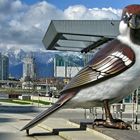 Super - Sparrow