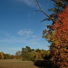 super toller Herbsttag mit schönen Farben....