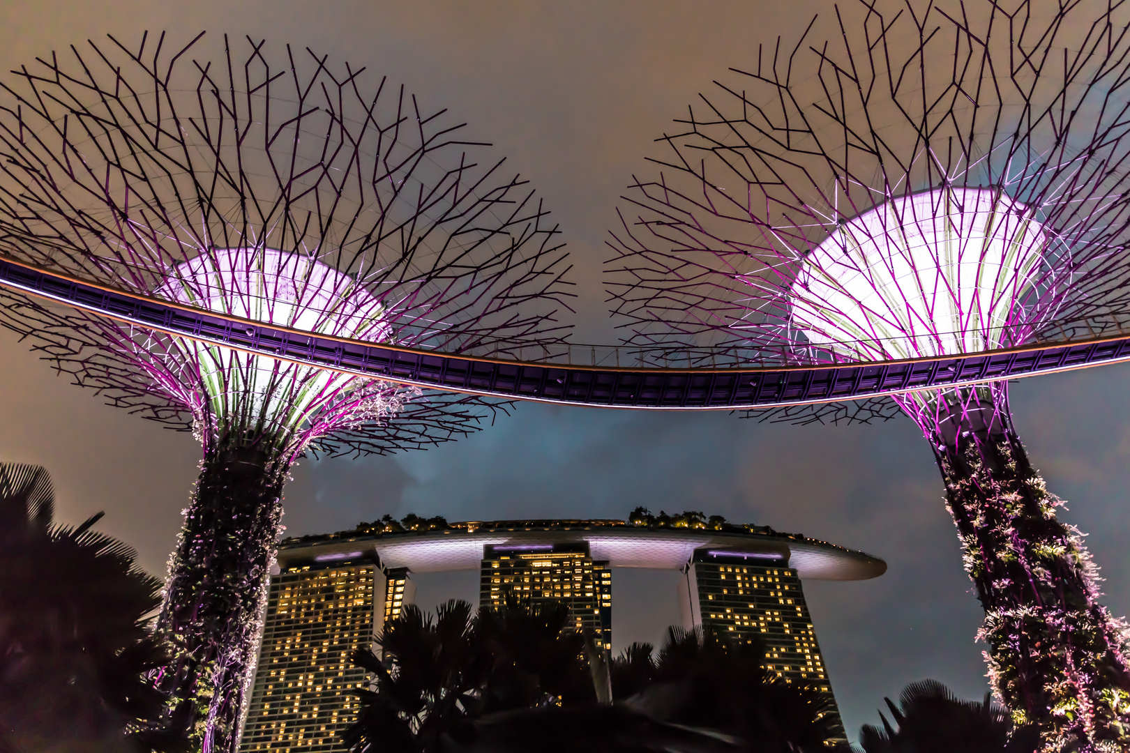 Super Trees and Marina Bay Sands 