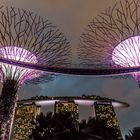 Super Trees and Marina Bay Sands 