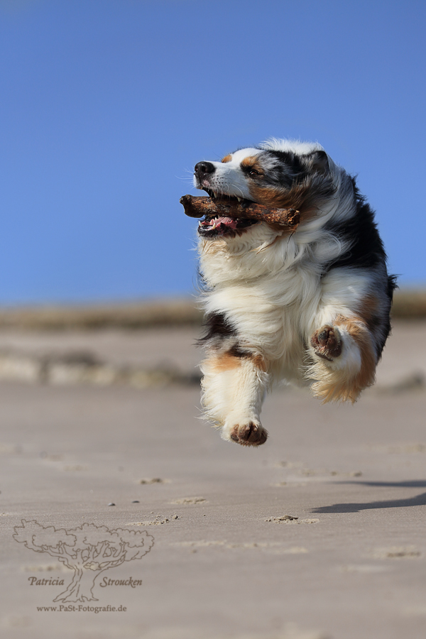 Superman auf Wangerooge