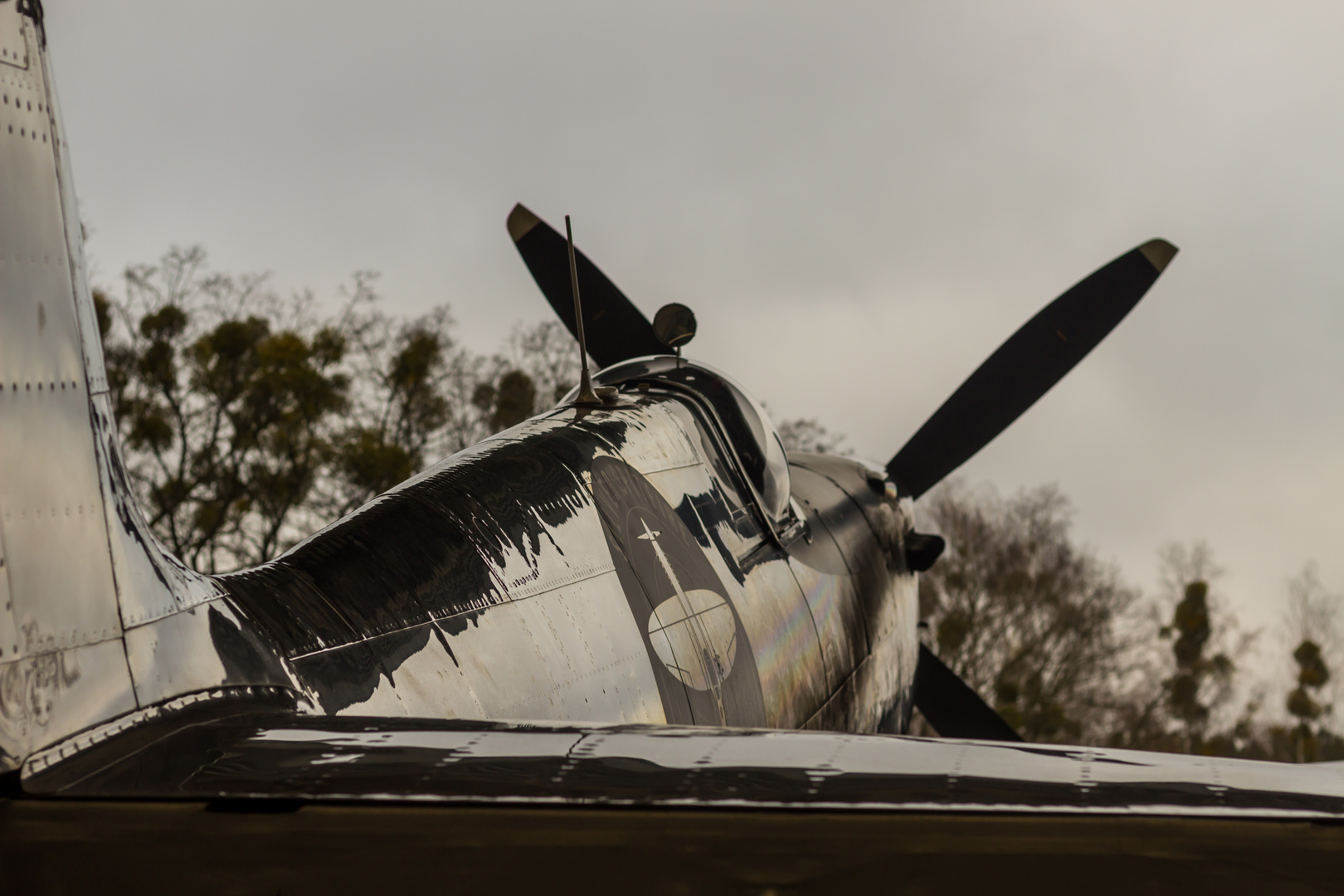  Supermarine Spitfire MK.IX G-IRTY in Schönhagen EDAZ