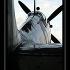 Supermarine Spitfire MkVIIIc