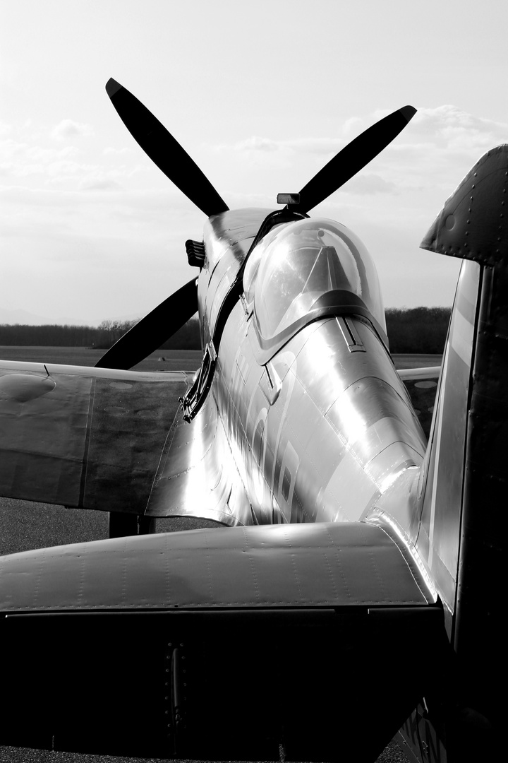 Supermarine Spitfire T9 D-FMKN