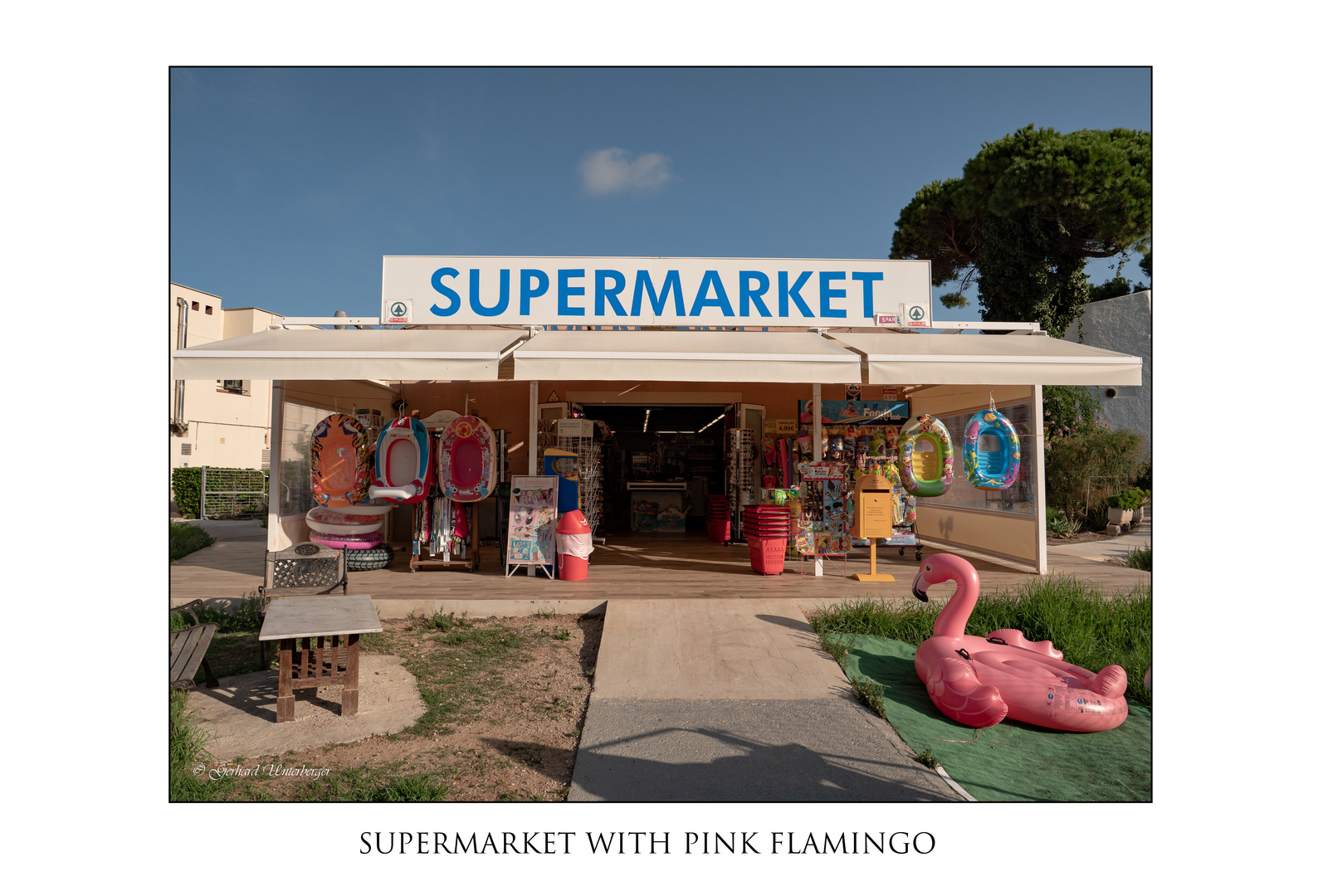 Supermarket with pink Flamingo