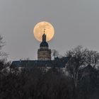 Supermond 2020 über der Burg Falkenstein