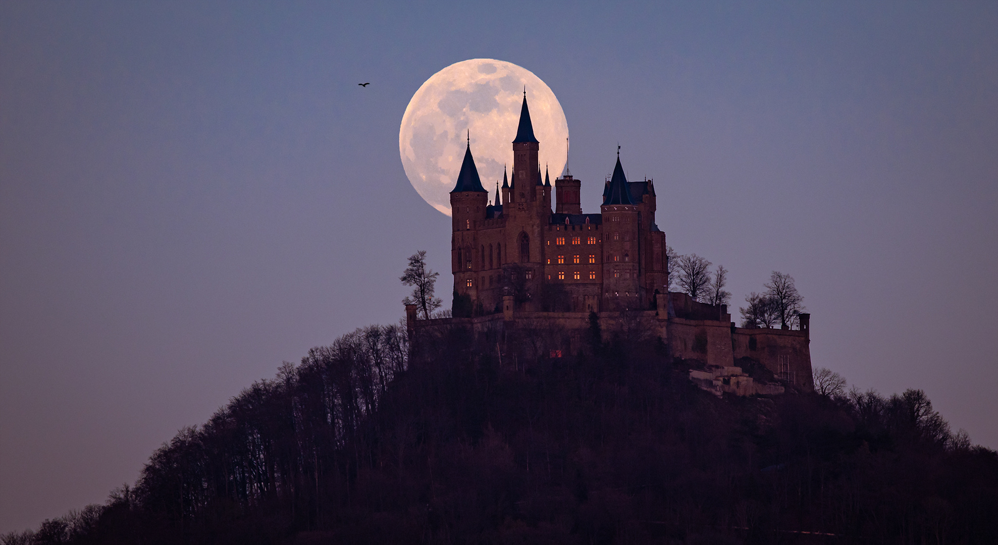 Supermond hinter der Burg Hohenzollern