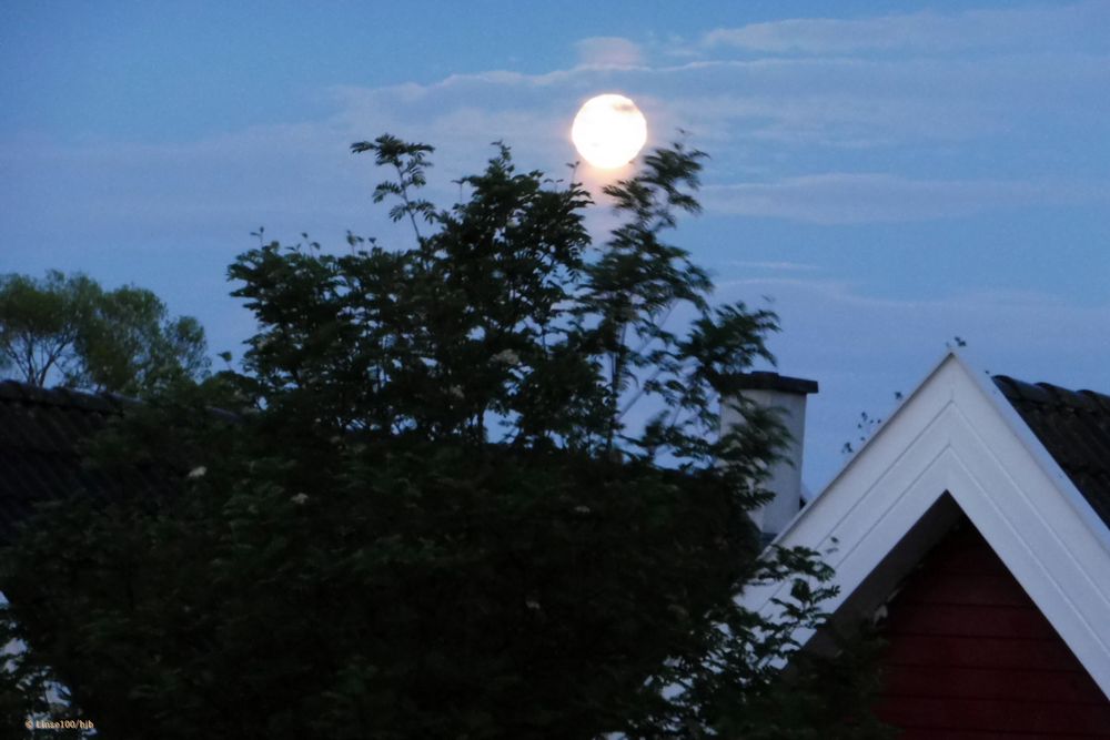Supermond über Brandenburg Foto & Bild | outdoor, frühling, himmel
