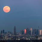 "Supermond" über Frankfurt am 19.02.2019 (1)