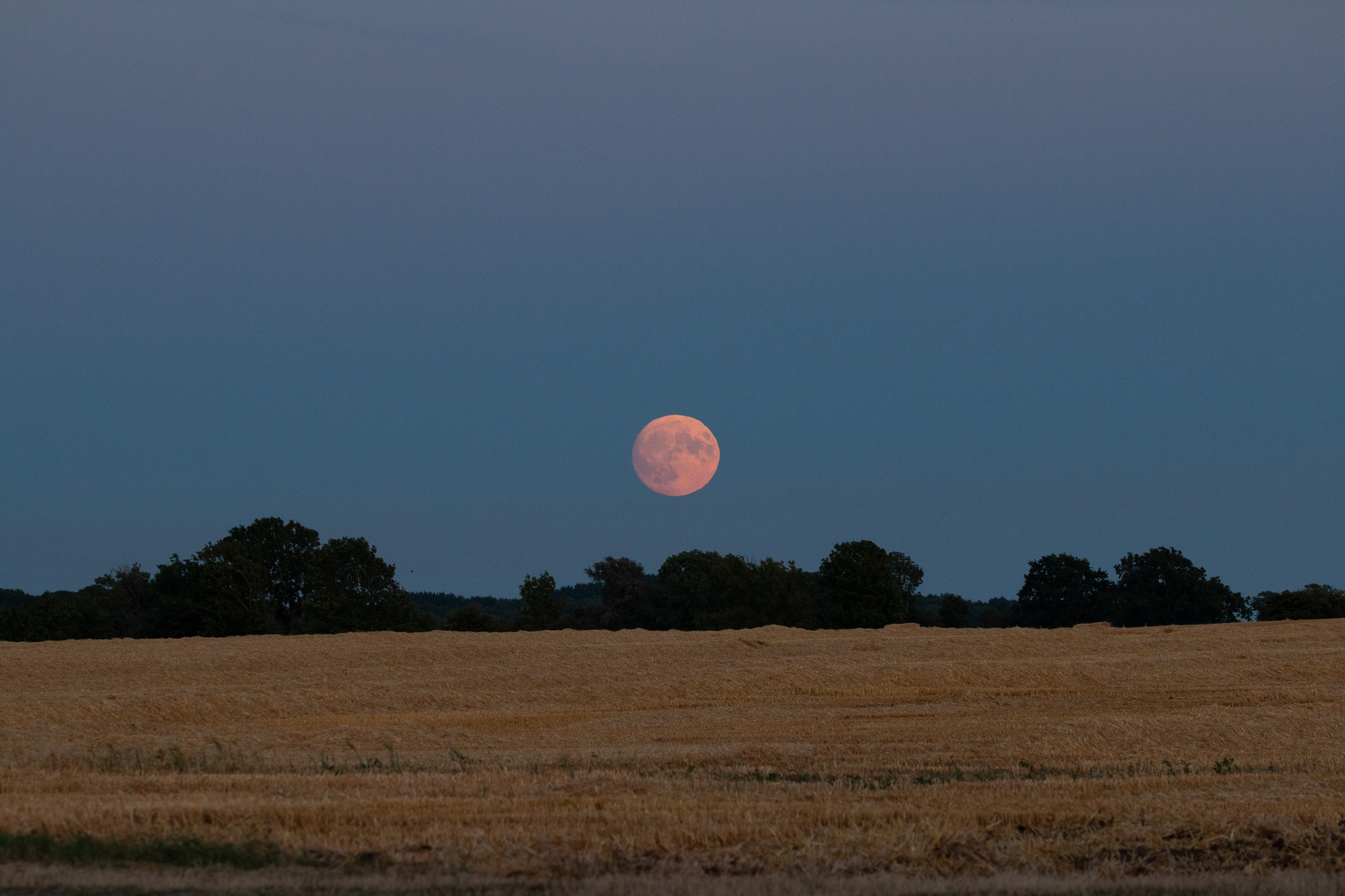 Supermond über Rügen