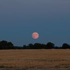 Supermond über Rügen