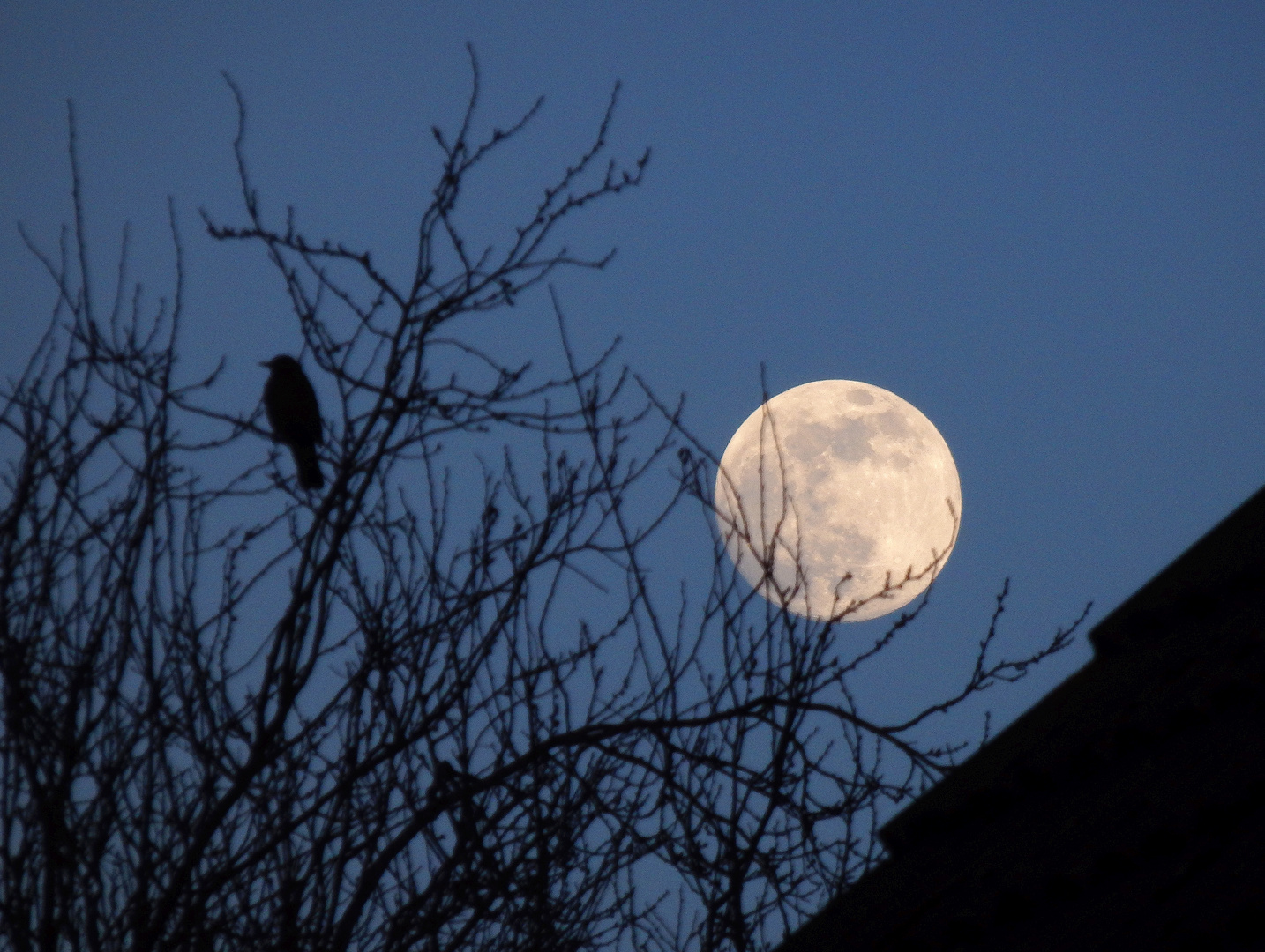 Supermond zur Blauen Stunde über Münster-Gievenbeck