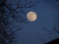 Supermond zur Blauen Stunde über Münster-Gievenbeck