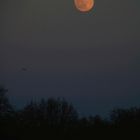 Supermoon rising