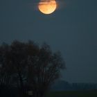 supermoon13Nov2016