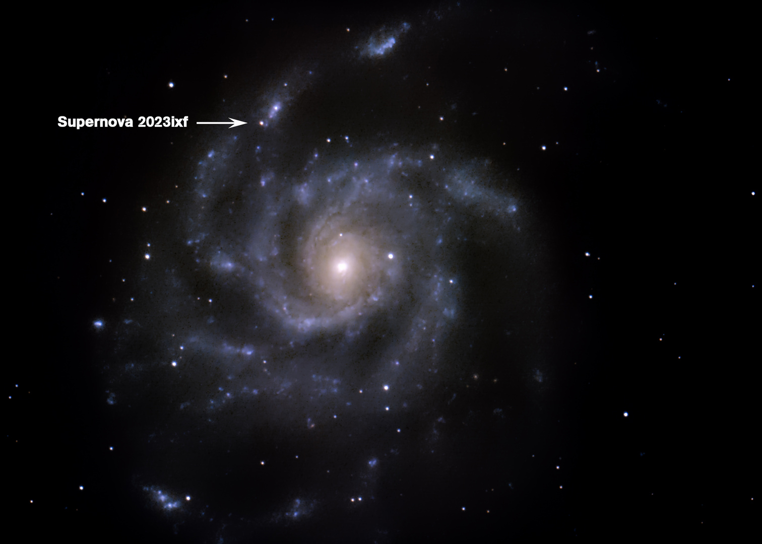 Supernova 2023ixf in Pinwheel Galaxie M101