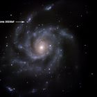 Supernova 2023ixf in Pinwheel Galaxie M101