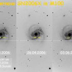 Supernova SN2006X in M100