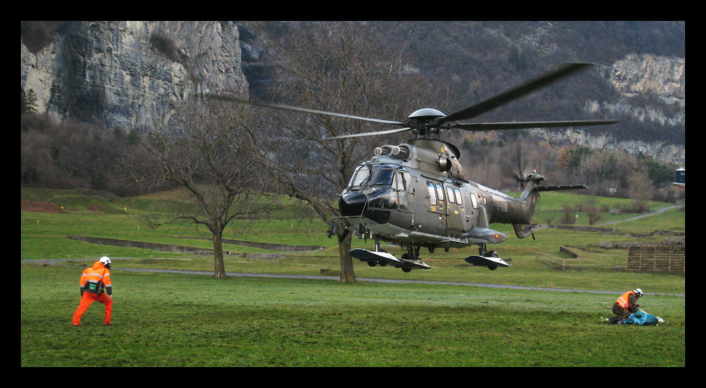 Superpuma IV