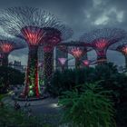 Supertree Grove Singapore