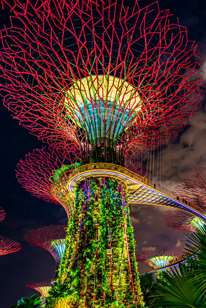 Supertree - Singapur