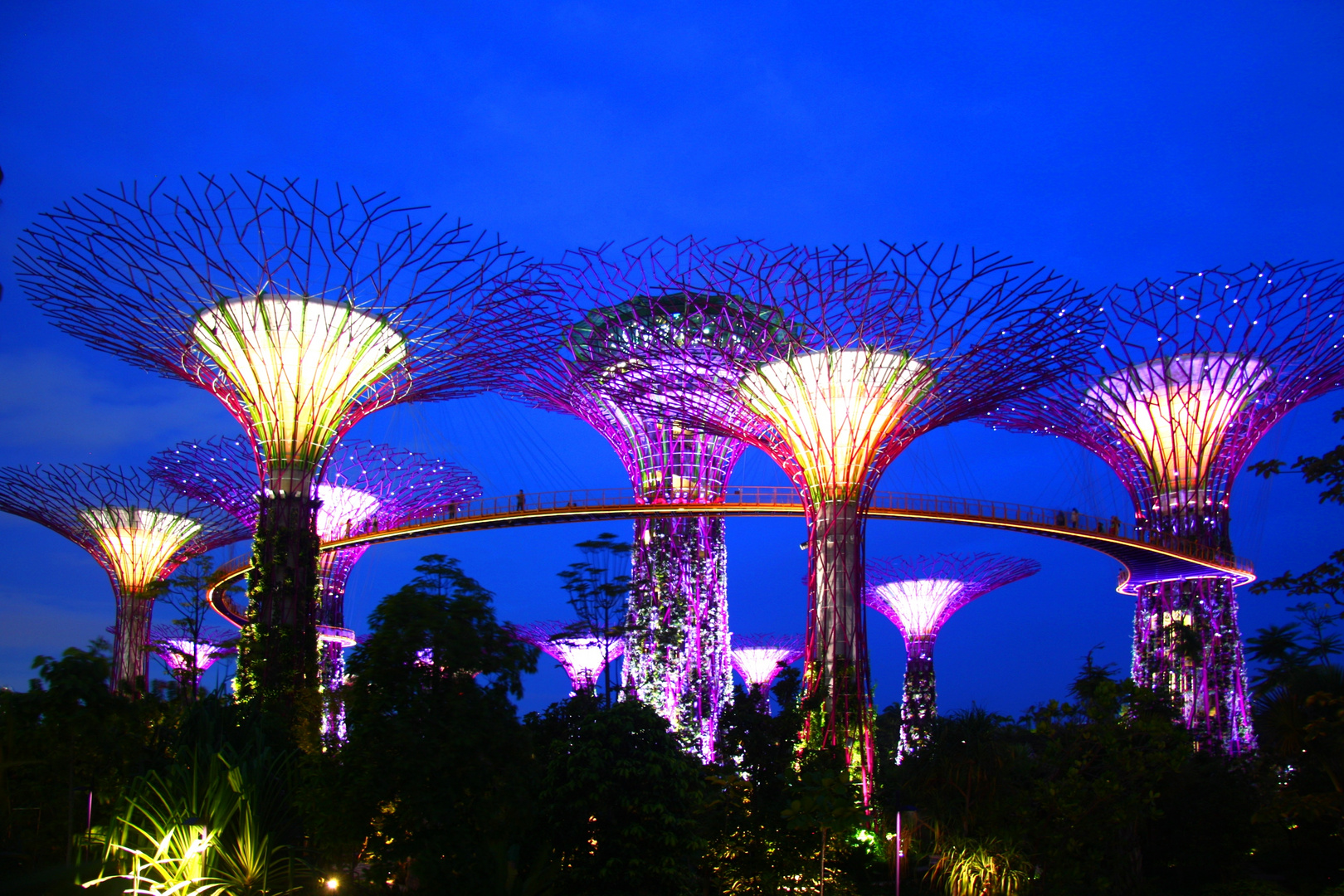 Supertrees at Night