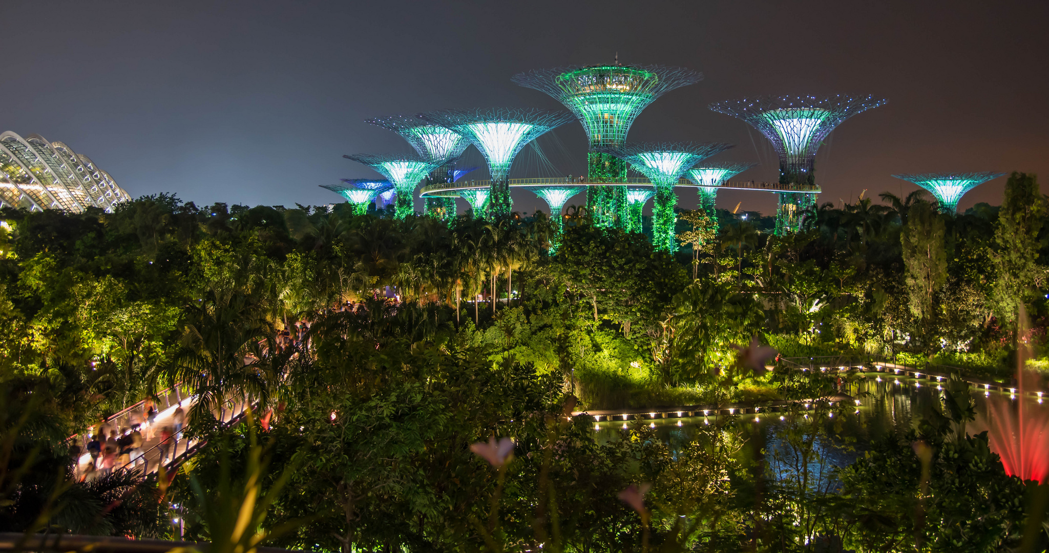 Supertree's by Night - Ein Traum aus Licht & Farben (1)