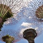 Supertrees in Singapur