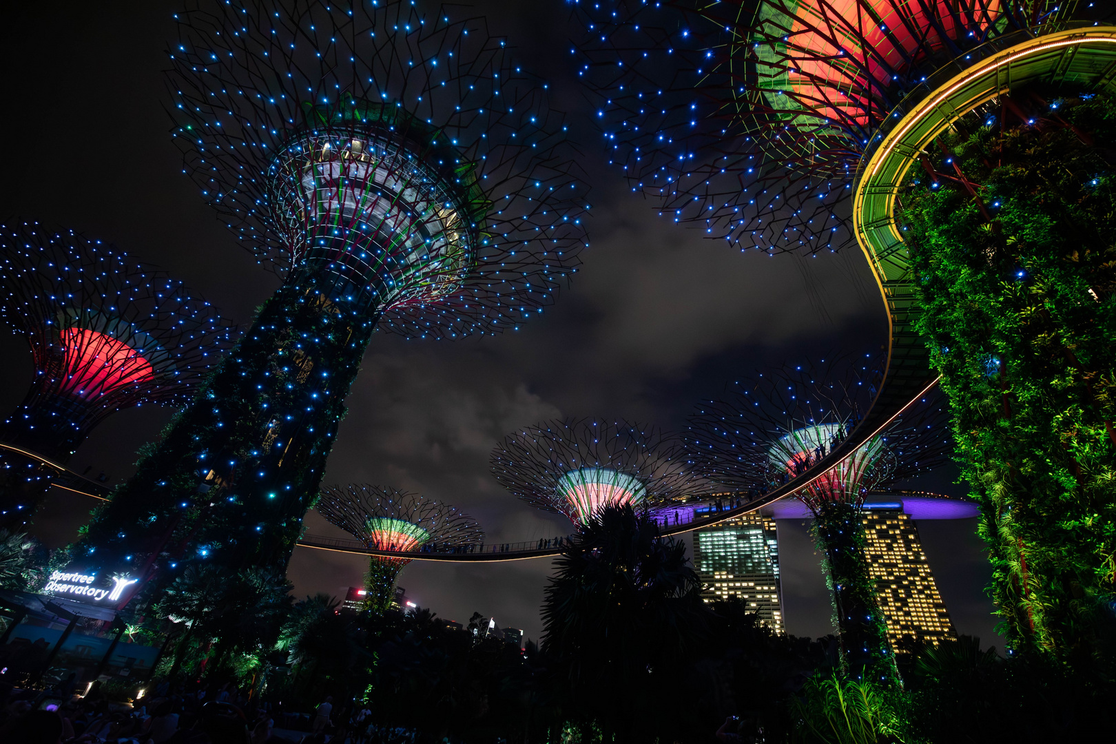 Supertrees Singapur