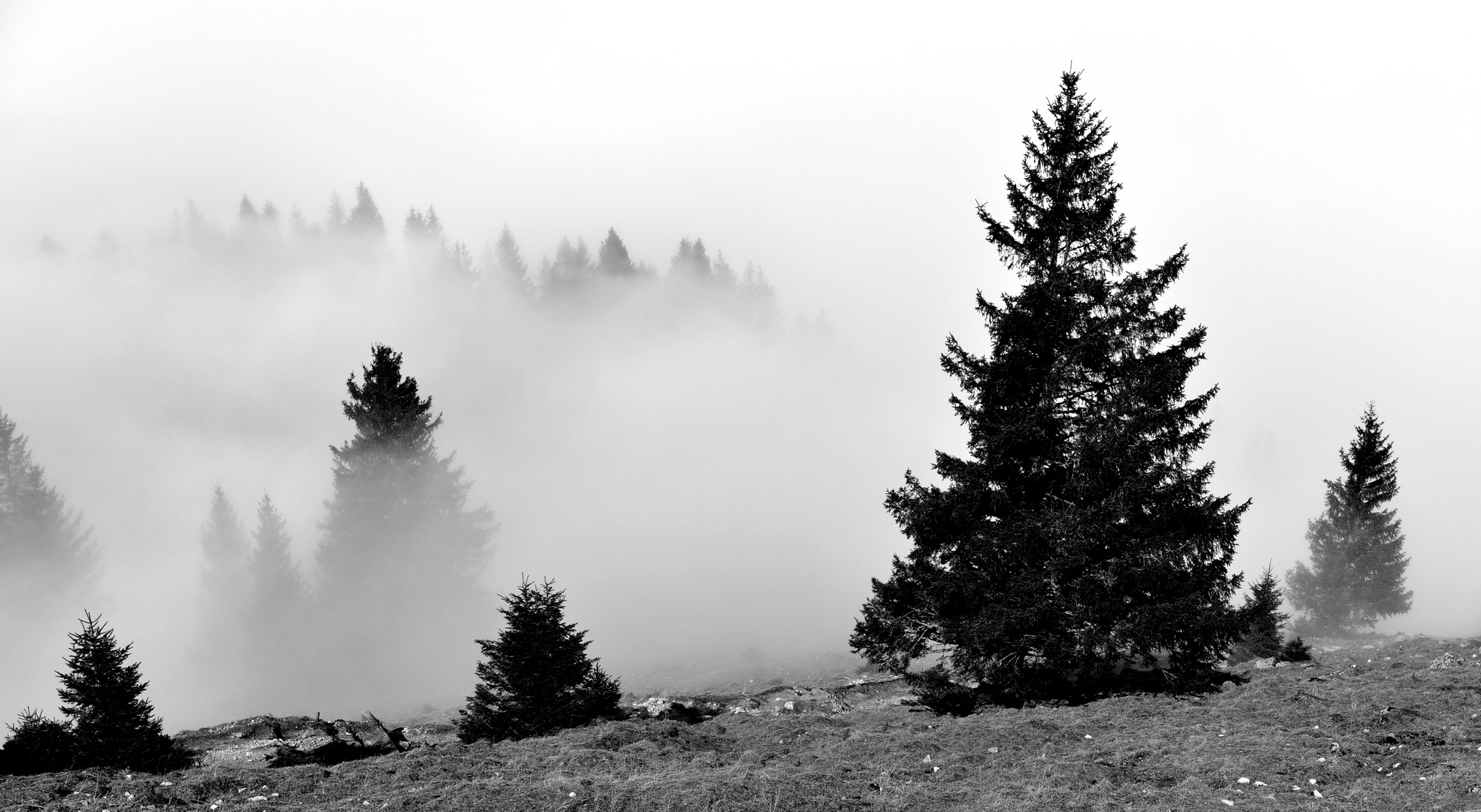 Suppe in den Bergen