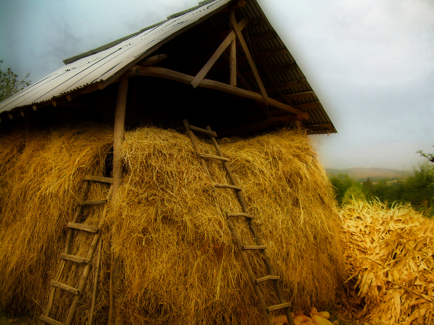 Supplies for the winter (Village court)