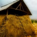 Supplies for the winter (Village court)