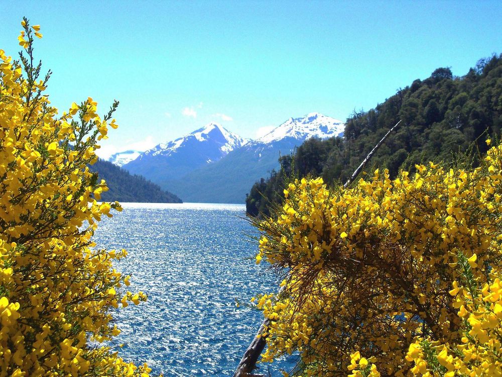 SUR ARGENTINO von Edith Marin