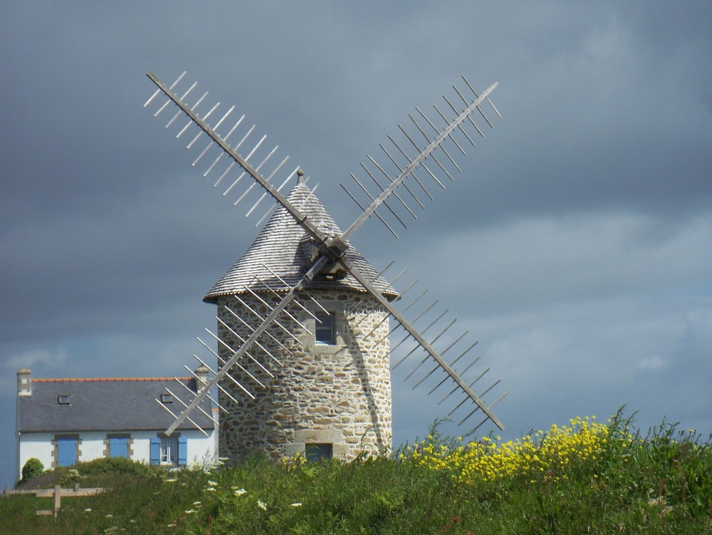 sur fond de ciel menaçant