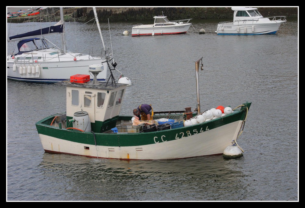 "Sur l 'Aven avant d'arriver è l'océan"