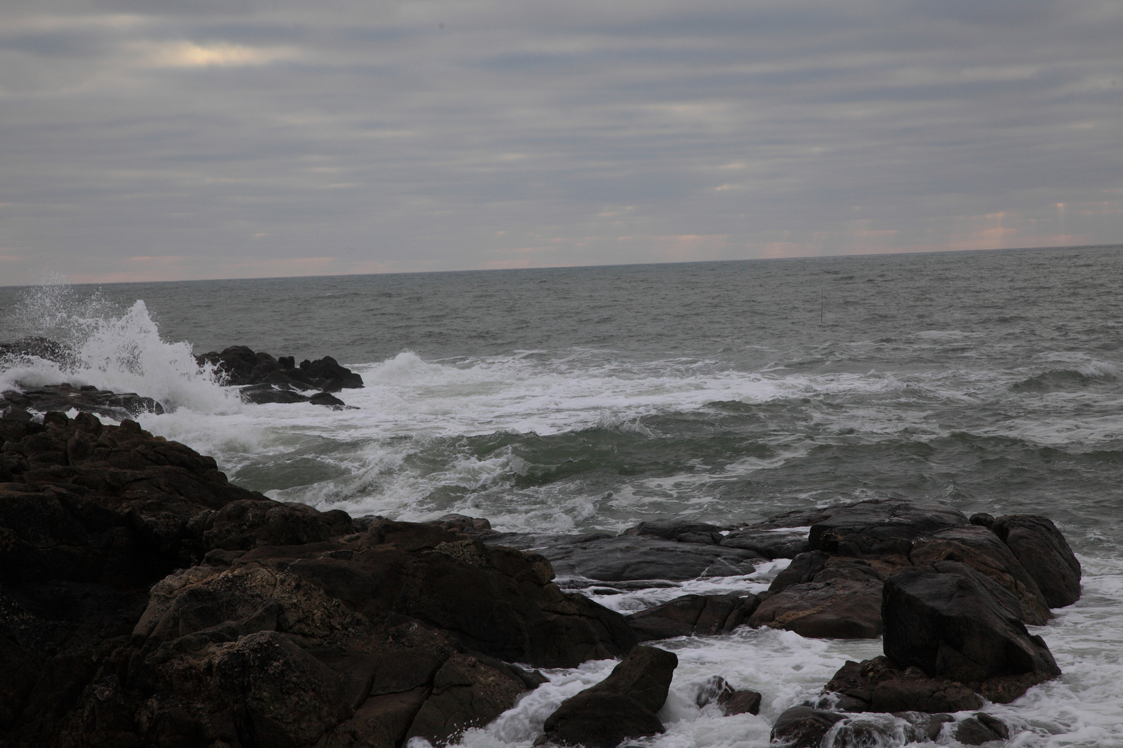 Sur la côte sauvage