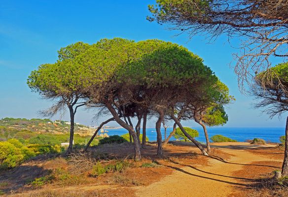 Sur la falaise, près d’Albufeira