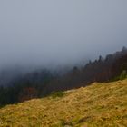 Sur la montée du grand Ballon