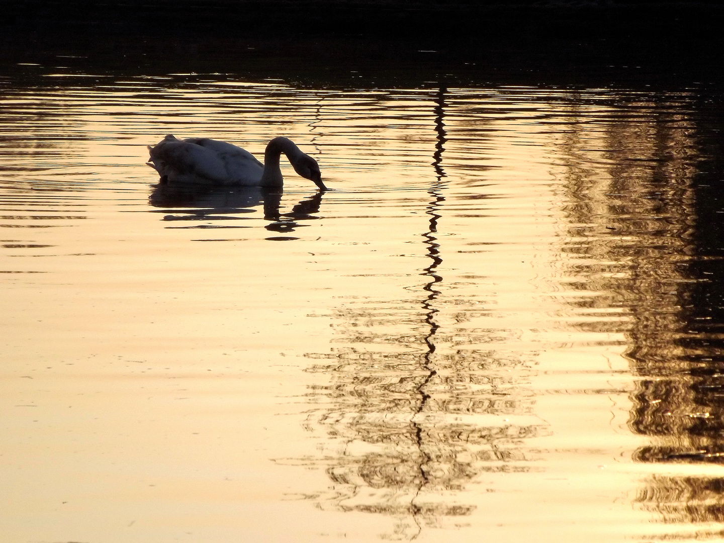 Sur la Moselle, au crépuscule