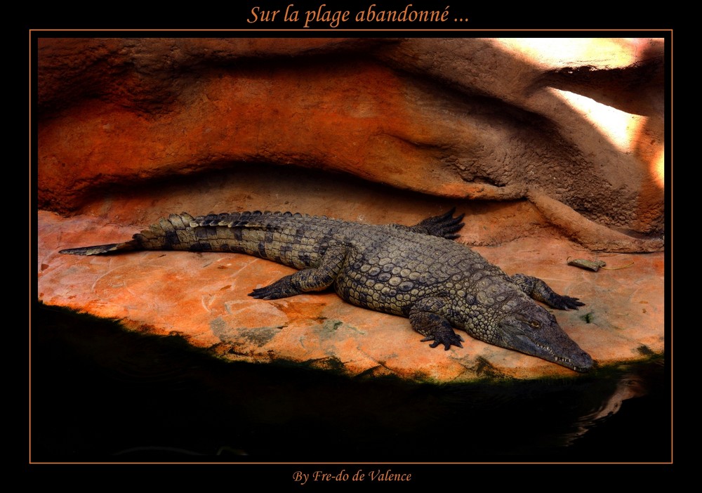 Sur la plage abandonné ...