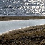 Sur la plage abandonnée...