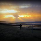 sur la plage abandonnée