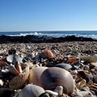 Sur la plage abandonnée...