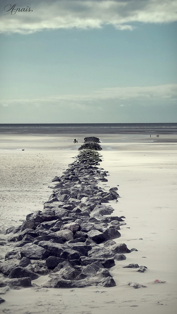 Sur la plage abandonnée...