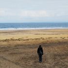 Sur la plage abondonnée ...