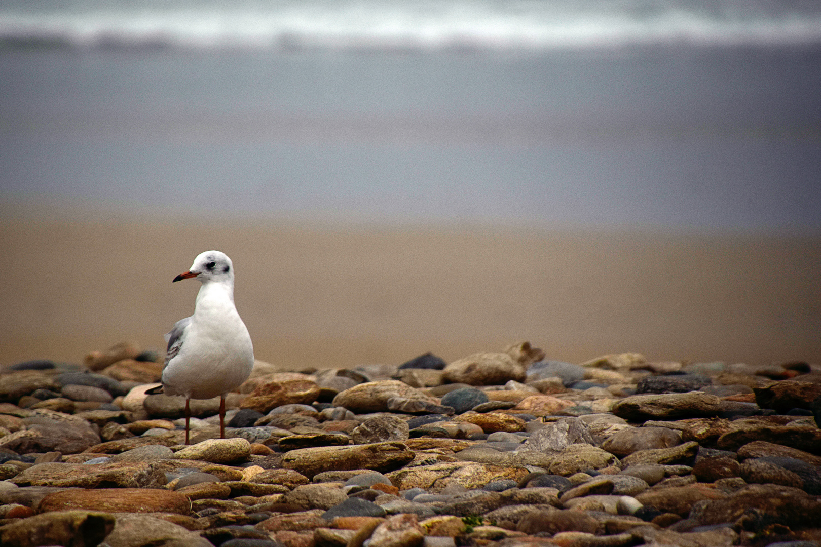 Sur la plage