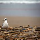 Sur la plage